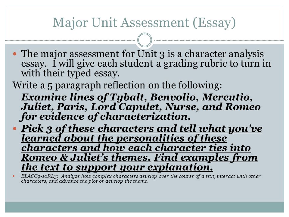Pay for Essay Writing and Get the Amazing Paper from Expert Essay Writer